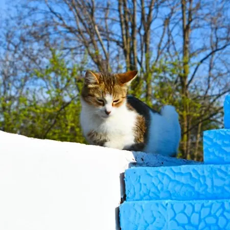 Penzion Casa Epat 3*